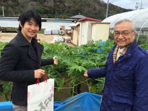 尾道でパパイア！？